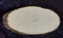Load image into Gallery viewer, Wood Slice Signs And Plaques
